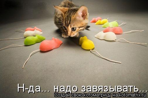 Н-да... надо завязывать...... Котоматрица: Н-да... надо завязывать...