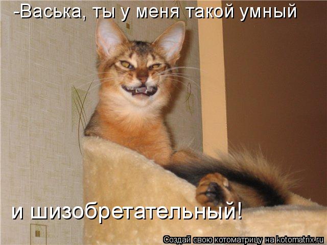 Котоматрица: -Васька, ты у меня такой умный  и шизобретательный!