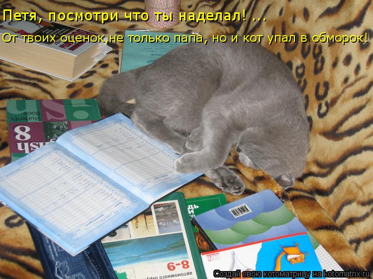 Петя, посмотри что ты наделал! ... От твоих оценок,не только папа, но и кот упал в обморок!... Котоматрица: Петя, посмотри что ты наделал! ... От твоих оценок,не только папа, но и кот упал в обморок!