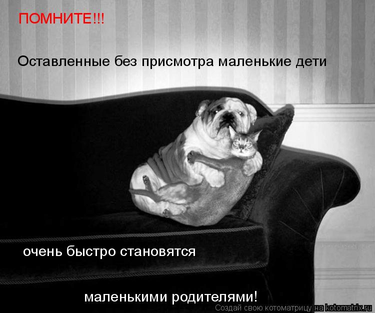 Оставленные без присмотра маленькие дети ПОМНИТЕ!!! очень быстро становятся маленькими родителями!... Котоматрица: Оставленные без присмотра маленькие дети ПОМНИТЕ!!! очень быстро становятся маленькими родителями!