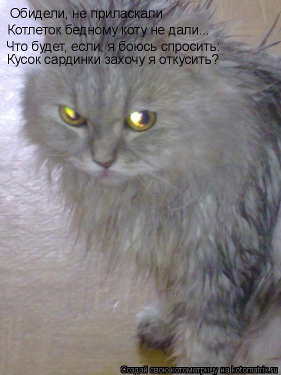 Обидели, не приласкали Котлеток бедному коту не дали... Что будет, если, я боюсь спросить: Кусок сард... Котоматрица: Обидели, не приласкали Котлеток бедному коту не дали... Что будет, если, я боюсь спросить: Кусок сардинки захочу я откусить?