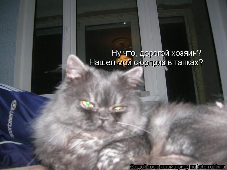 Ну что, дорогой хозяин? Нашёл мой сюрприз в тапках?... Котоматрица: Ну что, дорогой хозяин? Нашёл мой сюрприз в тапках?