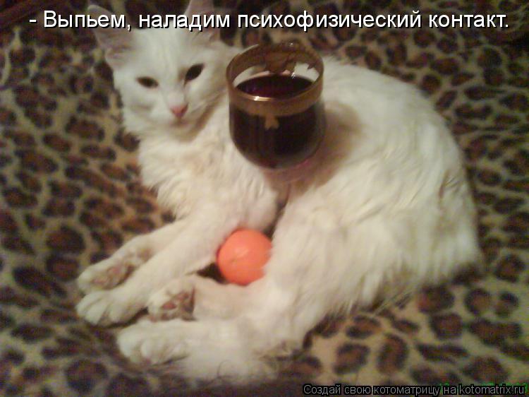 Котоматрица: - Выпьем, наладим психофизический контакт.