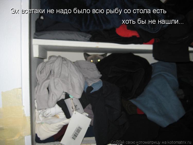 Котоматрица: Эх всетаки не надо было всю рыбу со стола есть хоть бы не нашли...