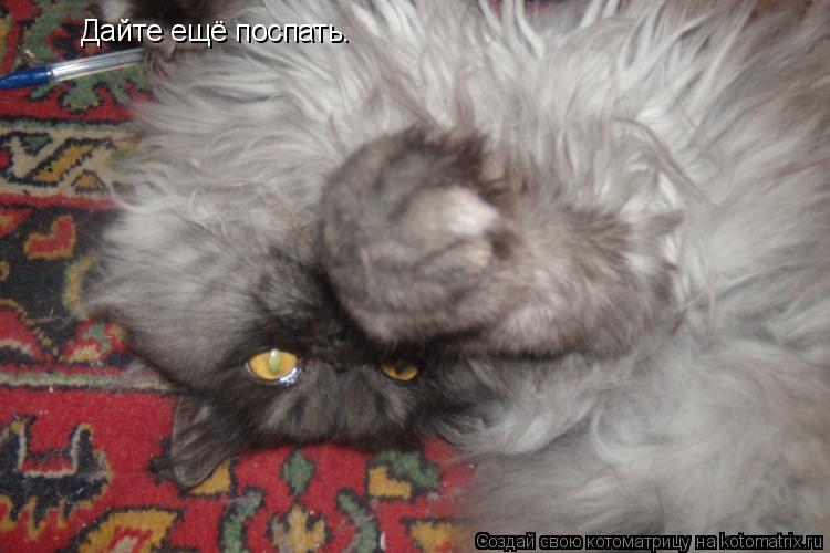 Дайте ещё поспать.... Котоматрица: Дайте ещё поспать.
