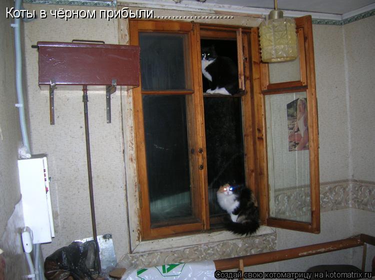Коты в чёрном прибыли......................... Котоматрица: Коты в чёрном прибыли......................