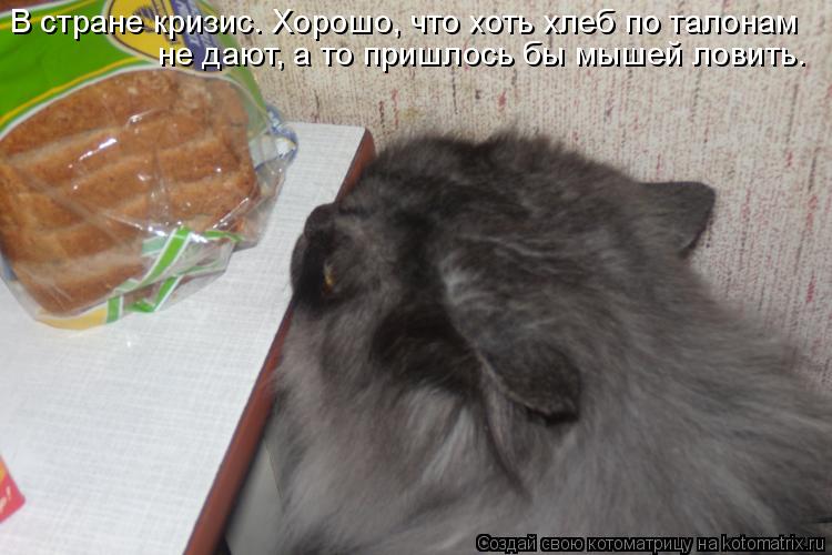 В стране кризис. Хорошо, что хоть хлеб по талонам не дают, а то пришлось бы мышей ловить.... Котоматрица: В стране кризис. Хорошо, что хоть хлеб по талонам не дают, а то пришлось бы мышей ловить.