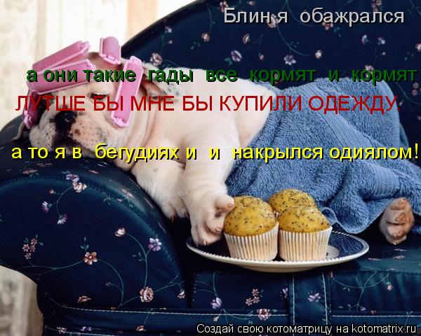 Блин я обажрался а они такие гады все кормят и кормят ЛУТШЕ БЫ МНЕ БЫ КУПИЛИ ОДЕЖДУ. а то я в ... Котоматрица: Блин я обажрался а они такие гады все кормят и кормят ЛУТШЕ БЫ МНЕ БЫ КУПИЛИ ОДЕЖДУ. а то я в бегудиях и и накрылся одиялом!