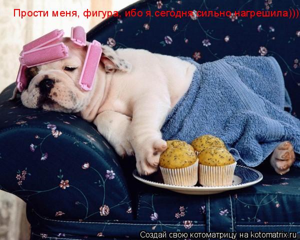Котоматрица: Прости меня, фигура, ибо я сегодня сильно нагрешила)))