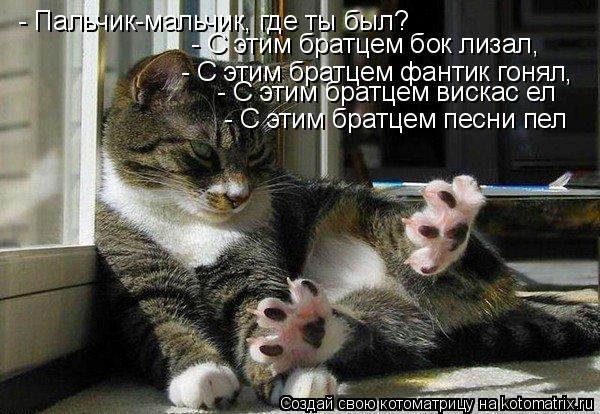 - Пальчик-мальчик, где ты был? - С этим братцем фантик гонял, - С этим братцем песни пел - С этим бра... Котоматрица: - Пальчик-мальчик, где ты был? - С этим братцем фантик гонял, - С этим братцем песни пел - С этим братцем вискас ел - С этим братцем бок лизал,