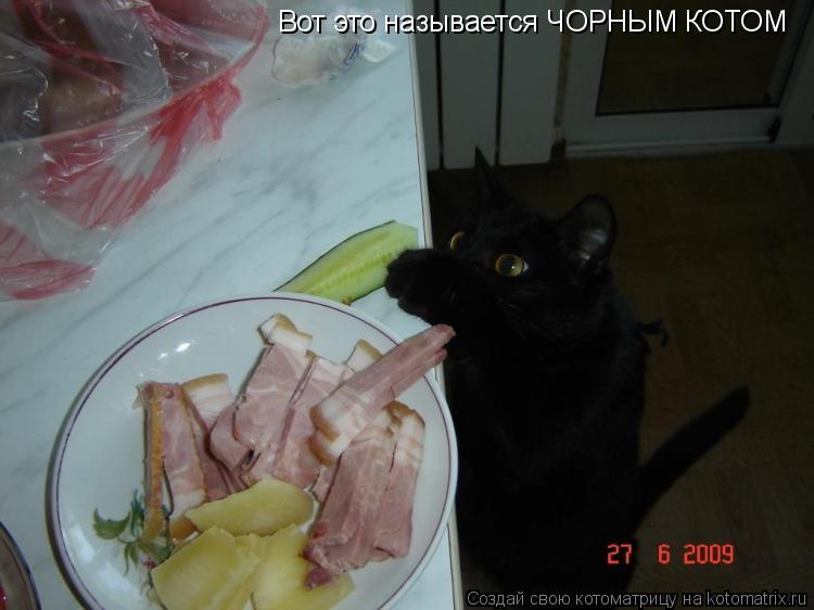 Вот это называется ЧОРНЫМ КОТОМ... Котоматрица: Вот это называется ЧОРНЫМ КОТОМ