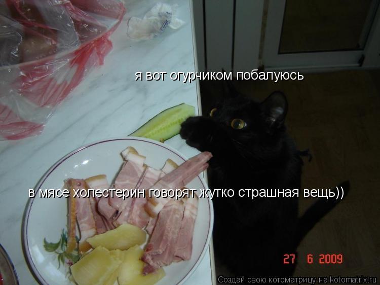 я вот огурчиком побалуюсь в мясе холестерин говорят жутко страшная вещь))... Котоматрица: я вот огурчиком побалуюсь в мясе холестерин говорят жутко страшная вещь))