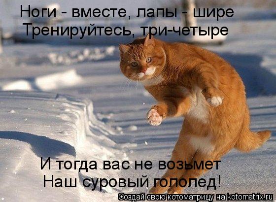 Ноги - вместе, лапы - шире Тренируйтесь, три-четыре И тогда вас не возьмет Наш суровый гололед!... Котоматрица: Ноги - вместе, лапы - шире Тренируйтесь, три-четыре И тогда вас не возьмет Наш суровый гололед!