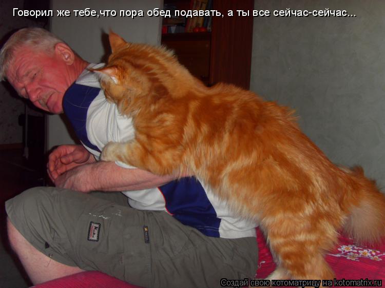 Говорил же тебе,что пора обед подавать, а ты все сейчас-сейчас...... Котоматрица: Говорил же тебе,что пора обед подавать, а ты все сейчас-сейчас...