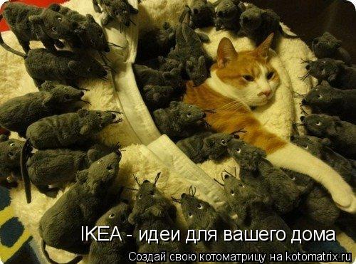 IKEA - идеи для вашего дома... Котоматрица: IKEA - идеи для вашего дома