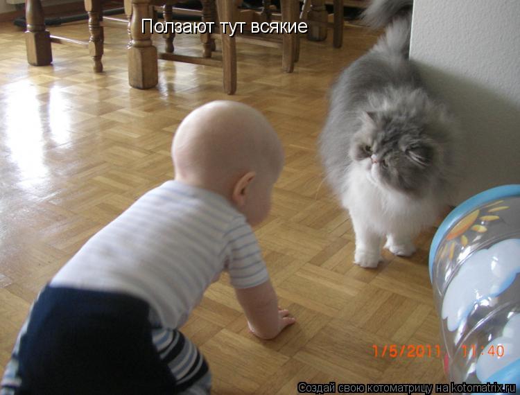 Ползают тут всякие... Котоматрица: Ползают тут всякие