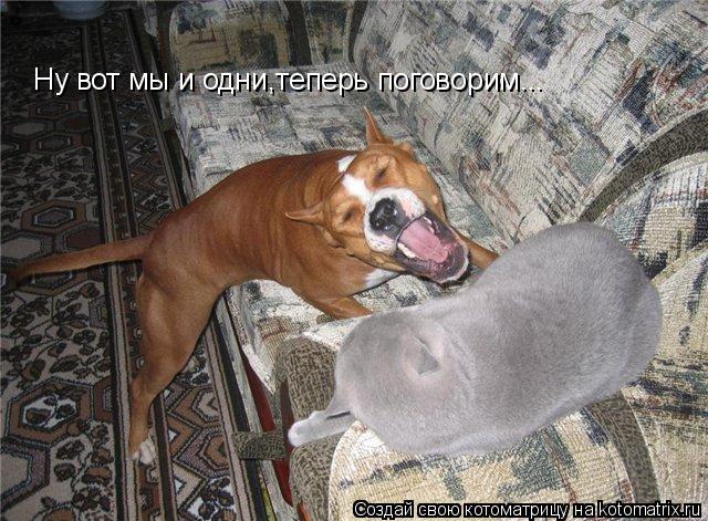 Ну вот мы и одни,теперь поговорим...... Котоматрица: Ну вот мы и одни,теперь поговорим...