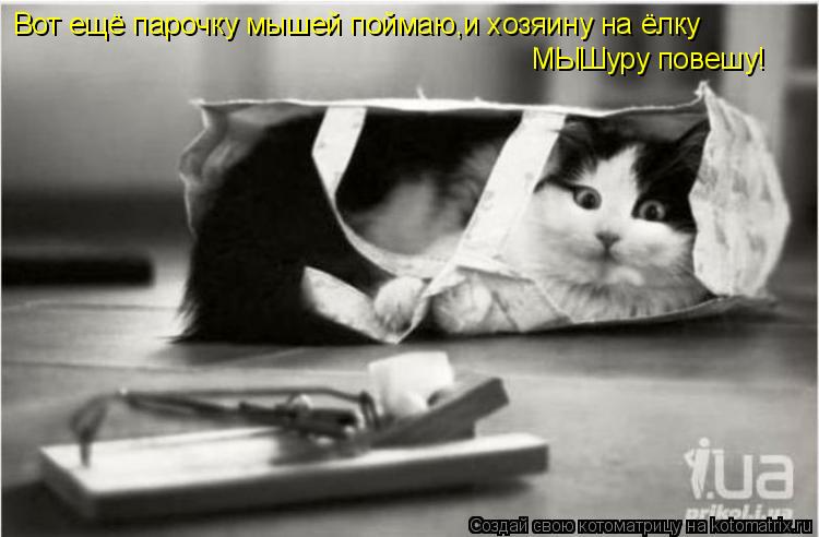 Вот ещё парочку мышей поймаю,и хозяину на ёлку МЫШуру повешу!... Котоматрица: Вот ещё парочку мышей поймаю,и хозяину на ёлку МЫШуру повешу!