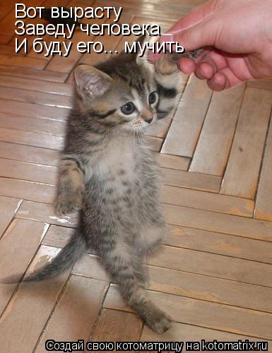 Вот вырасту Заведу человека И буду его... мучить... Котоматрица: Вот вырасту Заведу человека И буду его... мучить