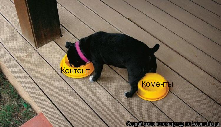 Котоматрица: Контент Коменты