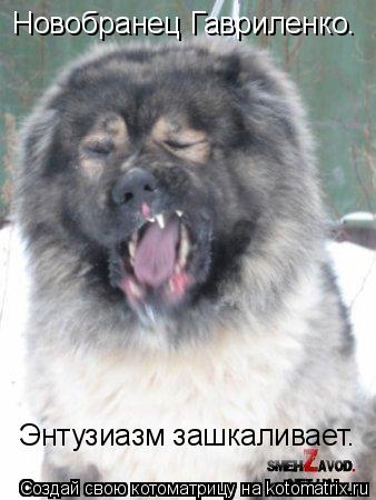 Новобранец Гавриленко. Энтузиазм зашкаливает.... Котоматрица: Новобранец Гавриленко. Энтузиазм зашкаливает.