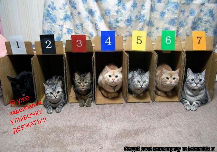 Я уже задолбался УЛЫБОЧКУ ДЕРЖАТЬ!!!... Котоматрица: Я уже задолбался УЛЫБОЧКУ ДЕРЖАТЬ!!!