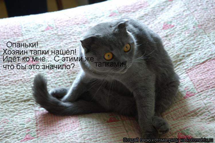 Опаньки! Хозяин тапки нашёл! Идёт ко мне... С этими же тапками... что бы это значило?... Котоматрица: Опаньки! Хозяин тапки нашёл! Идёт ко мне... С этими же тапками... что бы это значило?