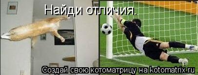 Найди отличия.... Котоматрица: Найди отличия.