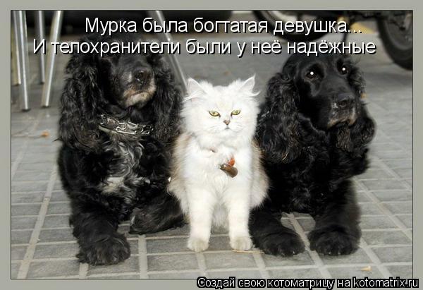 Мурка была богтатая девушка... И телохранители были у неё надёжные... Котоматрица: Мурка была богтатая девушка... И телохранители были у неё надёжные