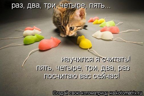 раз, два, три, четыре, пять... научился я считать! научился я считать! пять, четыре, три, два, раз по... Котоматрица: раз, два, три, четыре, пять... научился я считать! научился я считать! пять, четыре, три, два, раз посчитаю вас сейчас!