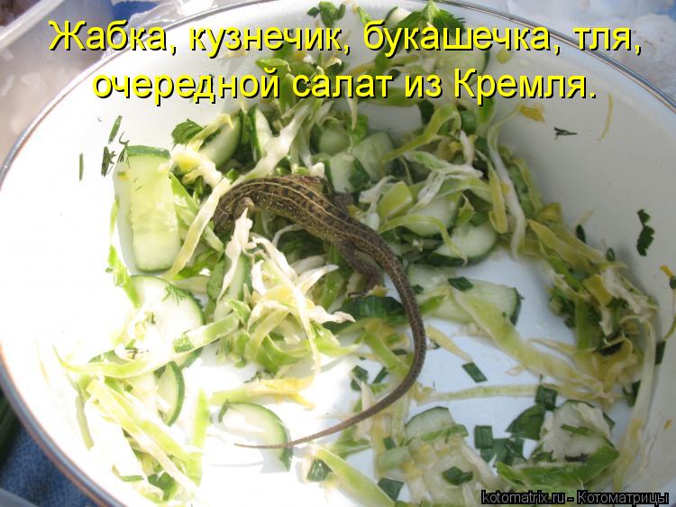Котоматрица: Жабка, кузнечик, букашечка, тля, очередной салат из Кремля.