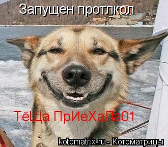 Запущен протлкол ТёЩа ПрИеХаЛа01... Котоматрица: Запущен протлкол ТёЩа ПрИеХаЛа01