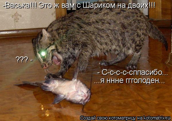 Котоматрица: -Васька!!! Это ж вам с Шариком на двоих!!! ??? - - С-с-с-с-сппасибо... ...я ннне ггголоден...
