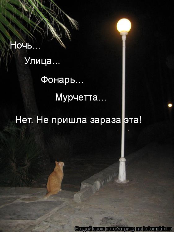 Котоматрица: Ночь... Улица... Фонарь... Мурчетта... Нет. Не пришла зараза эта!