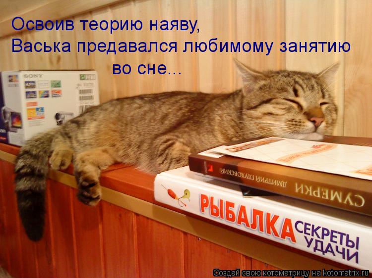 Котоматрица: Освоив теорию наяву,  Васька предавался любимому занятию во сне...