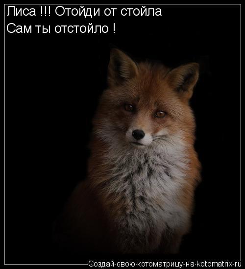 Котоматрица: Лиса !!! Отойди от стойла Сам ты отстойло !