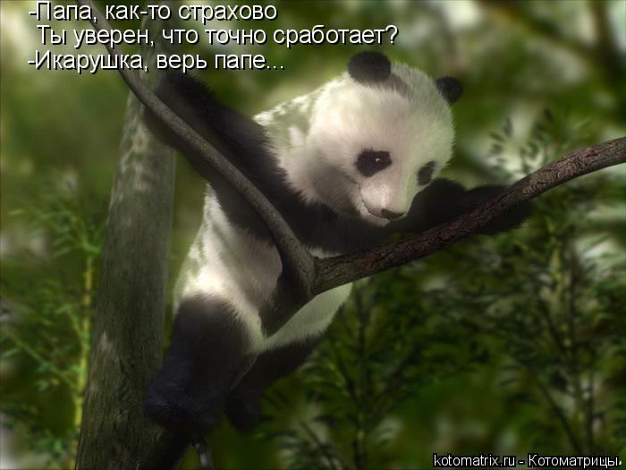 -Папа, как-то страхово Ты уверен, что точно сработает? -Икарушка, верь папе...... Котоматрица: -Папа, как-то страхово Ты уверен, что точно сработает? -Икарушка, верь папе...