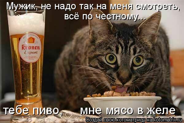 Котоматрица: Мужик, не надо так на меня смотреть, всё по честному... тебе пиво,     мне мясо в желе