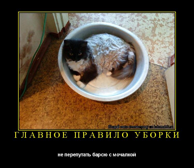 главное правило уборки не перепутать барсю с мочалкой... Котоматрица: главное правило уборки не перепутать барсю с мочалкой