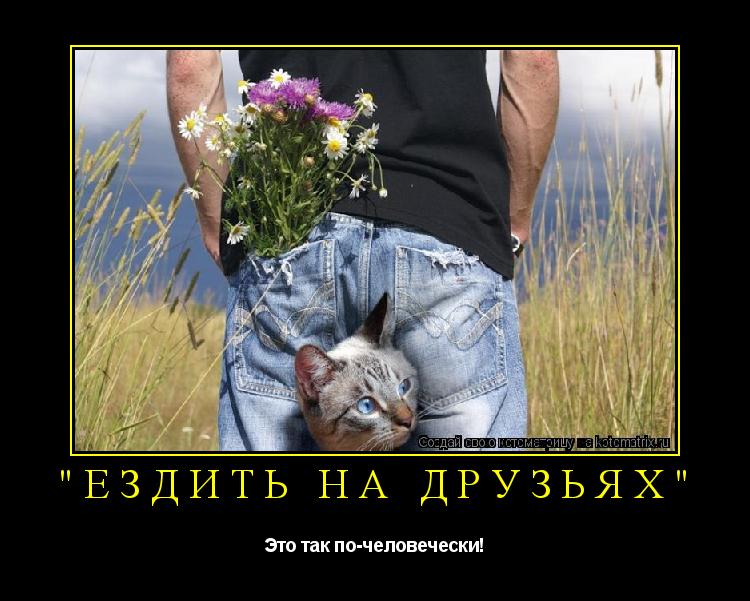 Котоматрица: "Ездить на друзьях" Это так по-человечески!