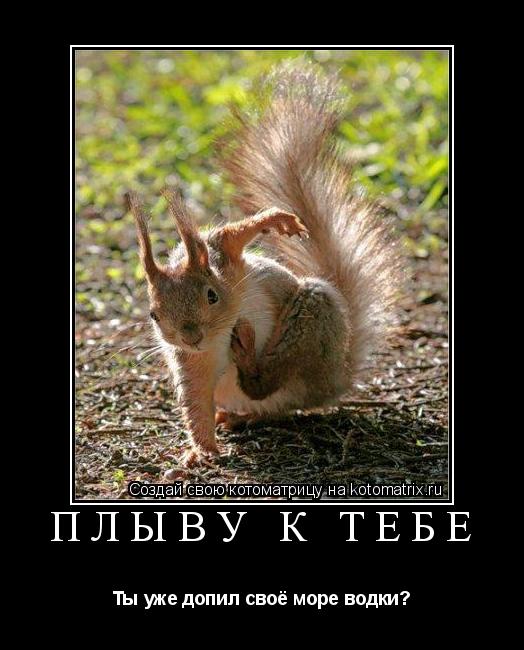 Плыву к тебе Ты уже допил своё море водки?... Котоматрица: Плыву к тебе Ты уже допил своё море водки?