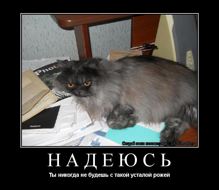 Надеюсь Ты никогда не будешь с такой усталой рожей... Котоматрица: Надеюсь Ты никогда не будешь с такой усталой рожей