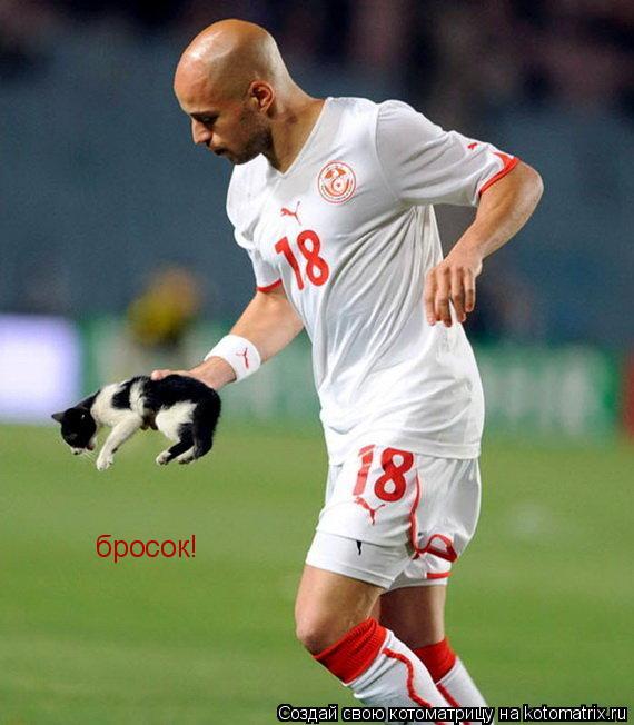бросок!... Котоматрица: бросок!