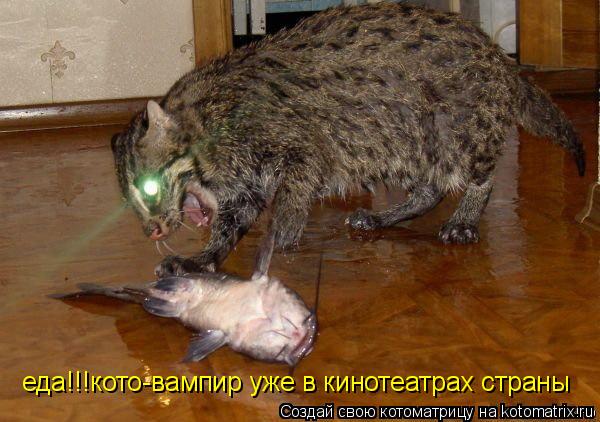 еда!!!кото-вампир уже в кинотеатрах страны... Котоматрица: еда!!!кото-вампир уже в кинотеатрах страны