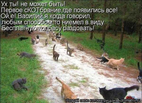 Ух ты! не может быть! Первое сКОТбрание,где появились все! Ой,ё! Василий,я когда говорил, любым спосо... Котоматрица: Ух ты! не может быть! Первое сКОТбрание,где появились все! Ой,ё! Василий,я когда говорил, любым способом,то ниемел в виду Бесплатную колбасу р