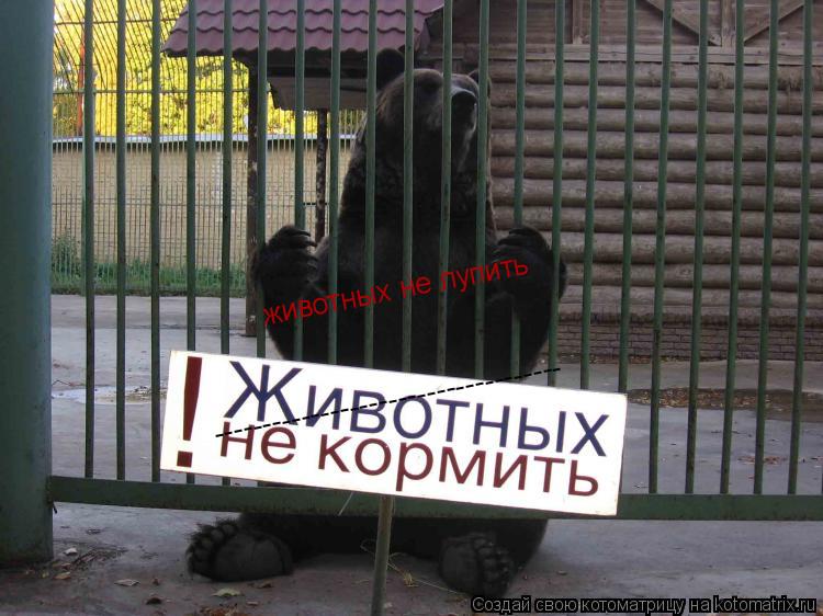 ------------------------------------ животных не лупить... Котоматрица: ------------------------------------ животных не лупить