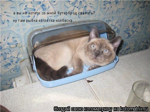 а вы не хотите со мной бутерброд сделать? ну там рыбка котлетка колбаска...... Котоматрица: а вы не хотите со мной бутерброд сделать? ну там рыбка котлетка колбаска...
