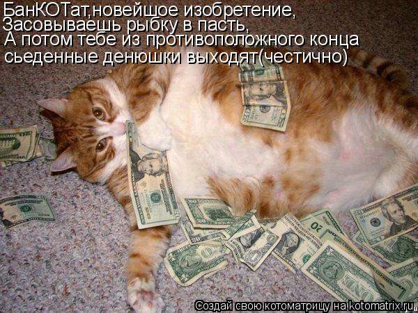 БанКОТат,новейшое изобретение, Засовываешь рыбку в пасть, сьеденные денюшки выходят(честично) А потом... Котоматрица: БанКОТат,новейшое изобретение, Засовываешь рыбку в пасть, сьеденные денюшки выходят(честично) А потом тебе из противоположного конца