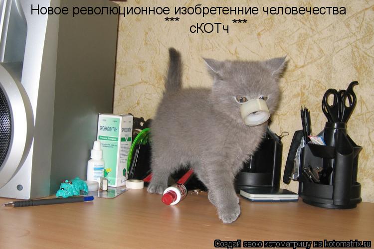 Новое революционное изобретенние человечества сКОТч ... Котоматрица: Новое революционное изобретенние человечества сКОТч *** ***