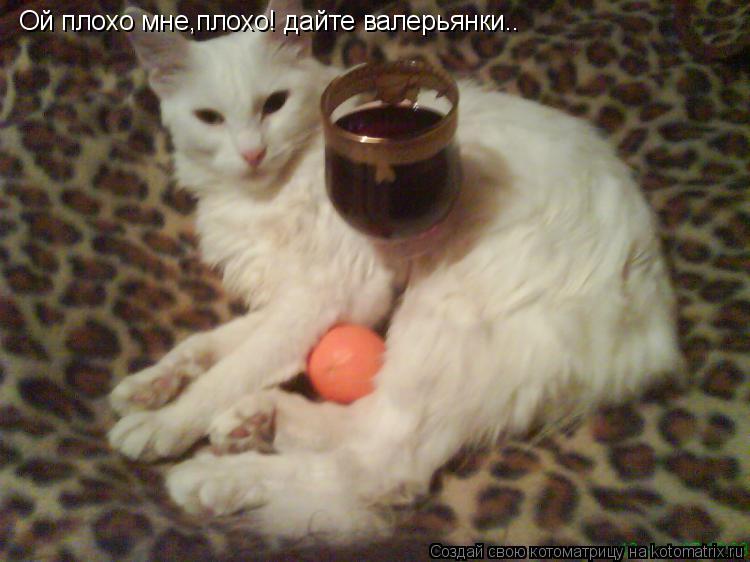 Ой плохо мне,плохо! дайте валерьянки..... Котоматрица: Ой плохо мне,плохо! дайте валерьянки..